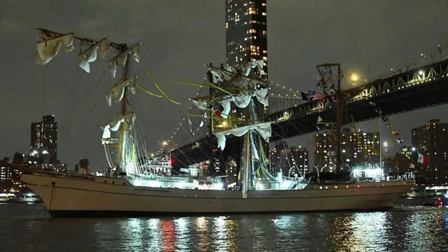 Mexican Navy says 22 wounded after ship crashes into Brooklyn Bridge