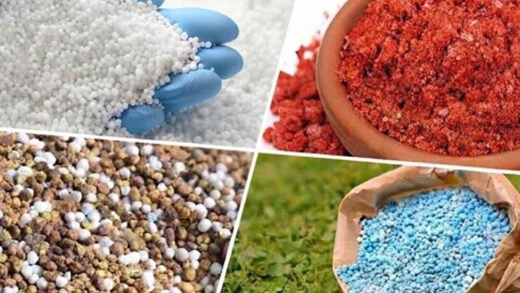 Fertilizer Shipments in Limbo as Laycan Deadlines Pass
